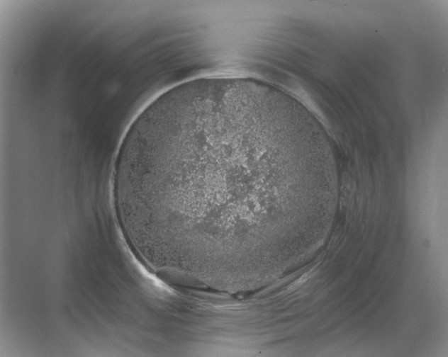 X0000070411484200606121317