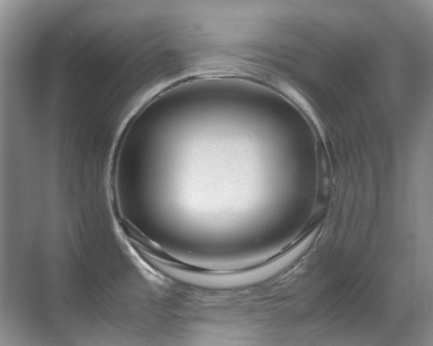 X0000070411485200606121317