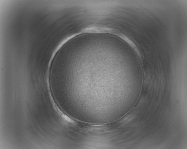 X0000070411486200606121317