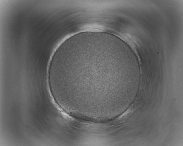 X0000070411488200606121317