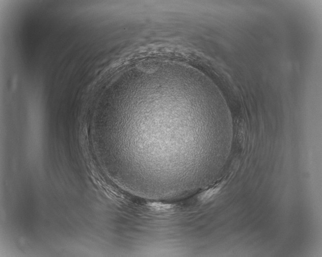 X0000070411489200606121316