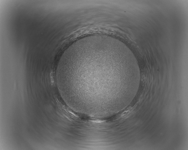 X0000070411490200606121316