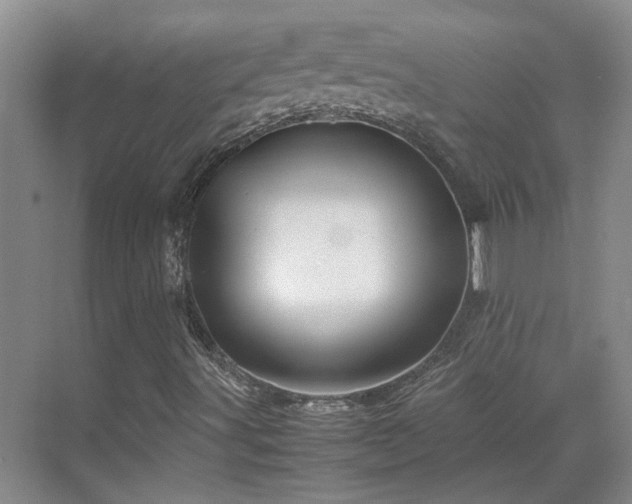 X0000070411491200606121316