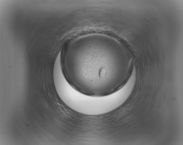 X0000070411492200606121316