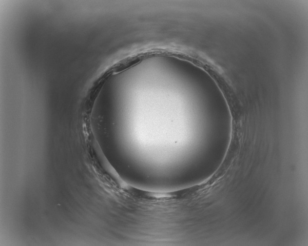 X0000070411496200606121316