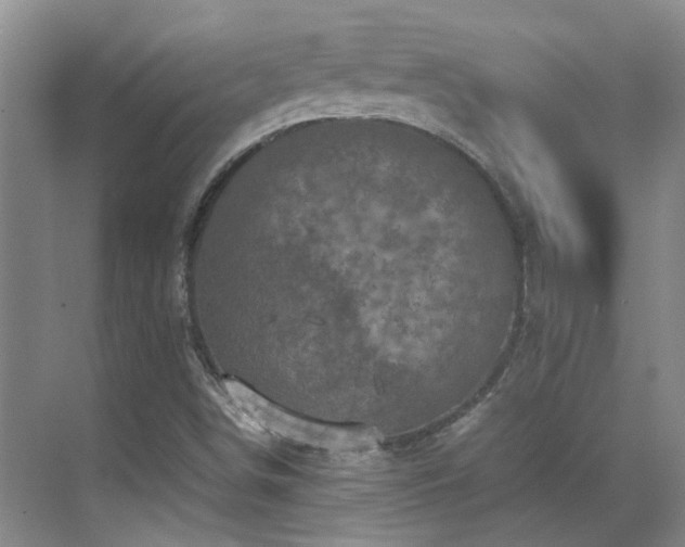 X0000070411498200606121316