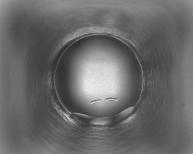 X0000070411499200606121316