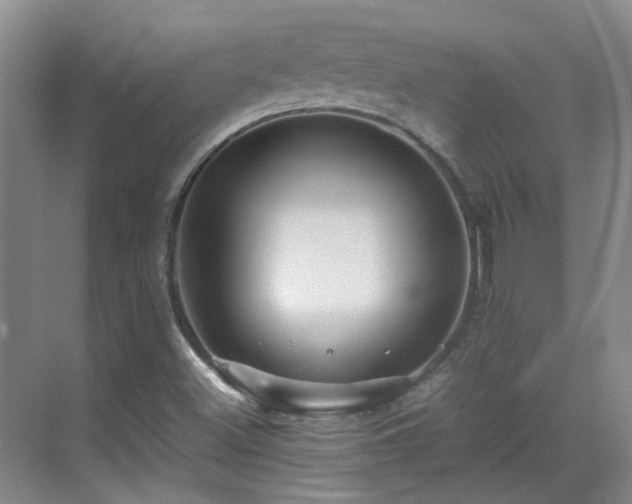 X0000070411500200606121316