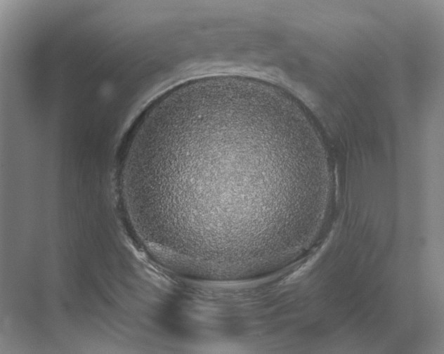 X0000070411501200606121316