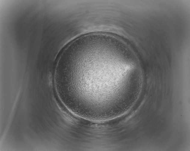 X0000070411505200606121316