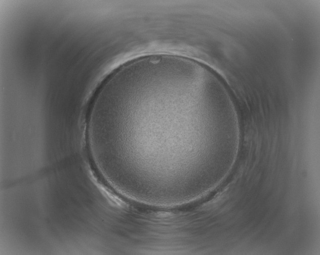 X0000070411507200606121316