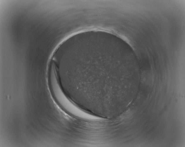 X0000070411508200606121316