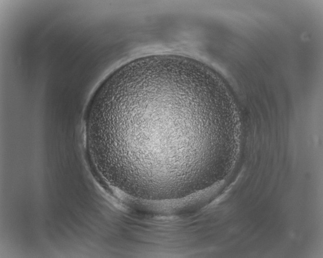 X0000070411509200606121316