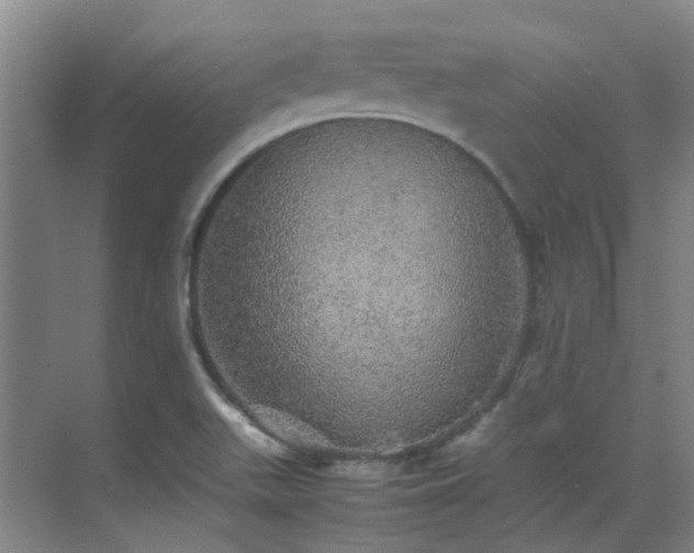 X0000070411511200606121316