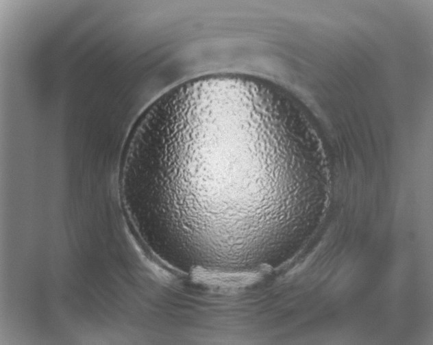 X0000070411513200606121316