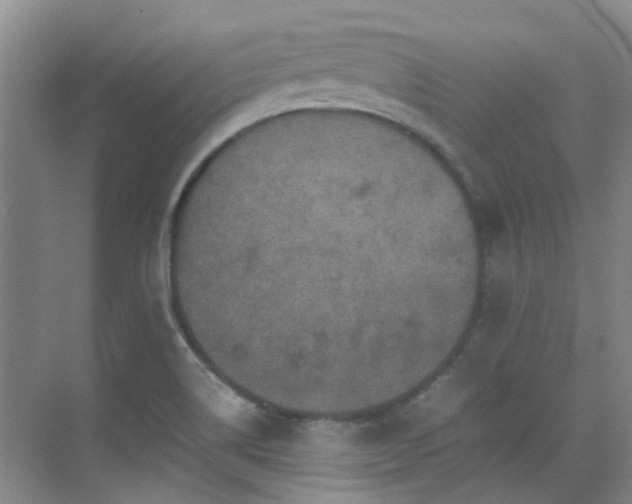 X0000070411514200606121316