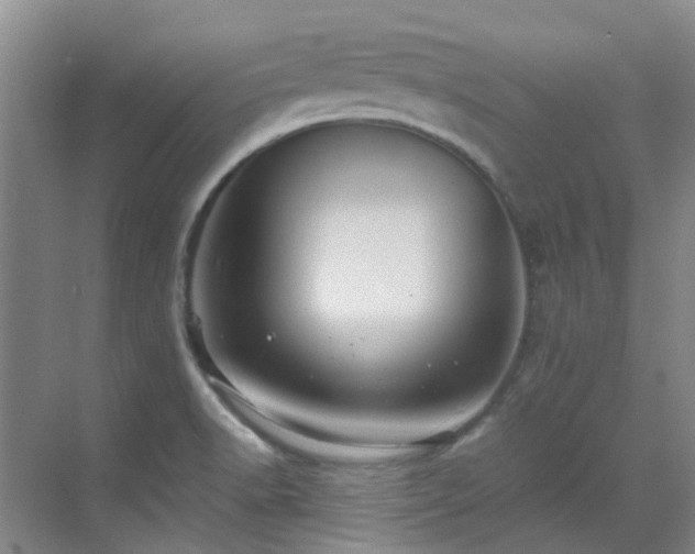 X0000070411518200606121316