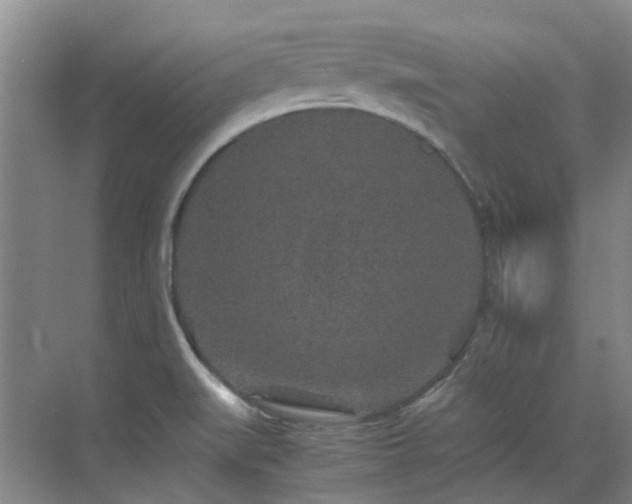 X0000070411519200606121316