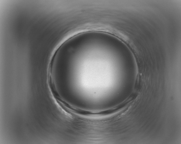 X0000070411520200606121316