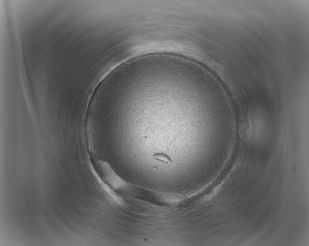 X0000070411521200606121316