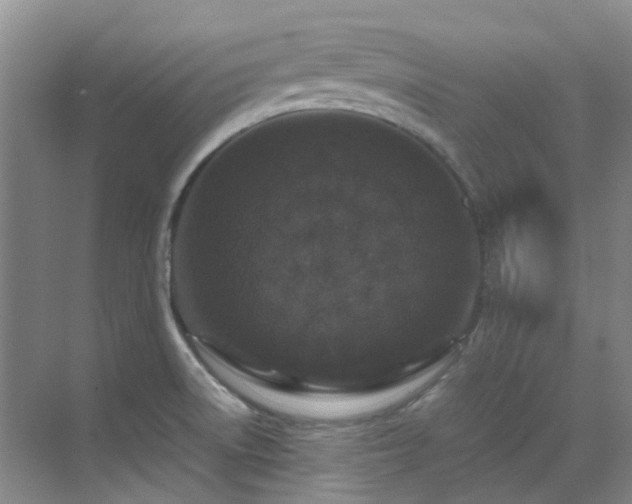 X0000070411522200606121316