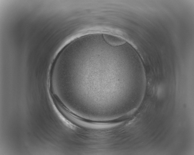 X0000070411523200606121316