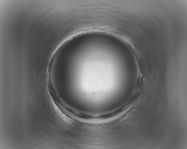 X0000070411524200606121316