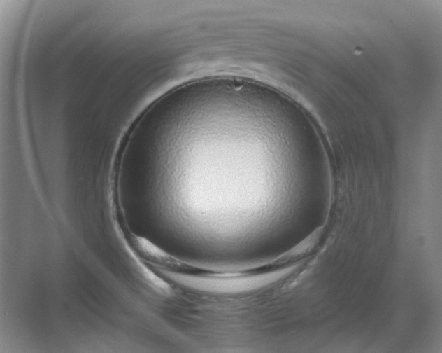 X0000070411525200606121316