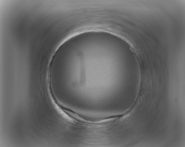 X0000070411526200606121316