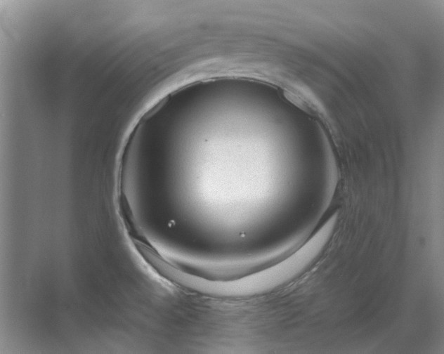 X0000070411528200606121316