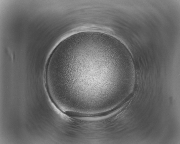 X0000070411531200606121316