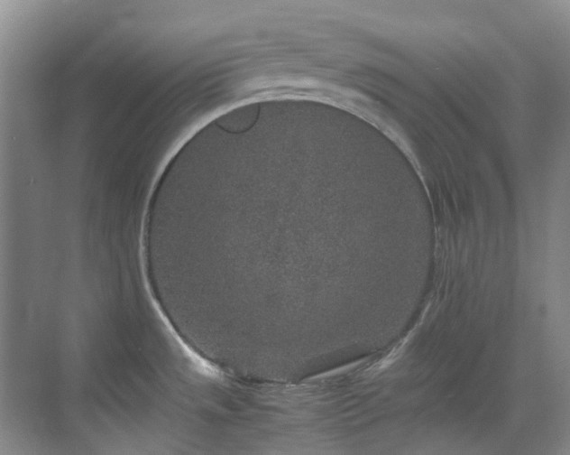 X0000070411533200606121317