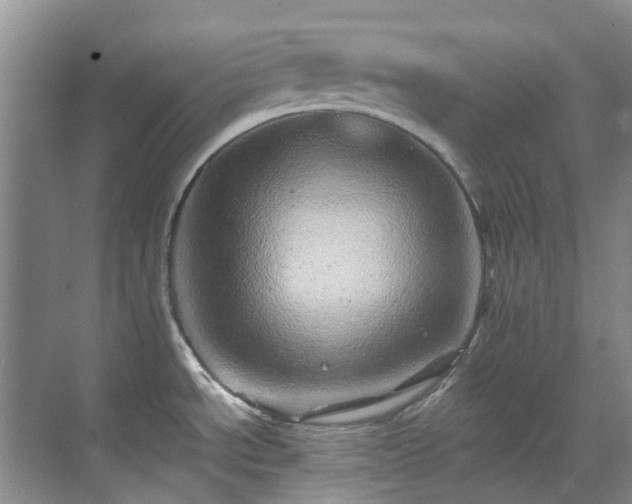 X0000070411534200606121317