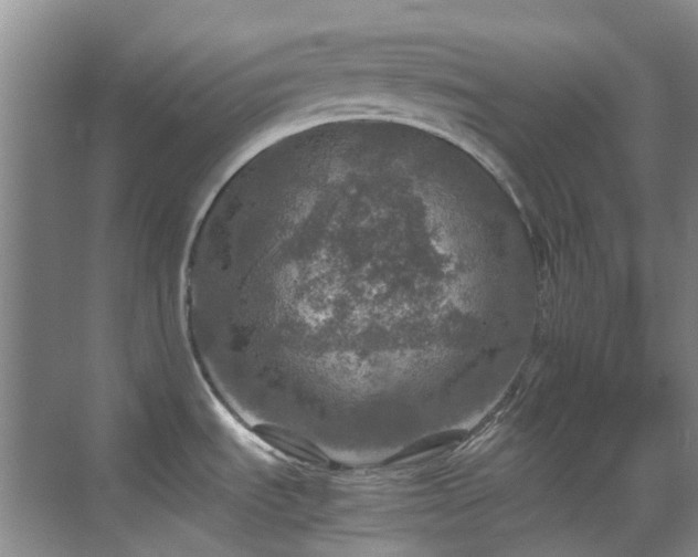 X0000070411535200606121317