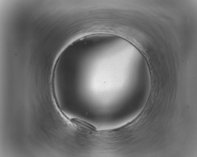 X0000070411536200606121317