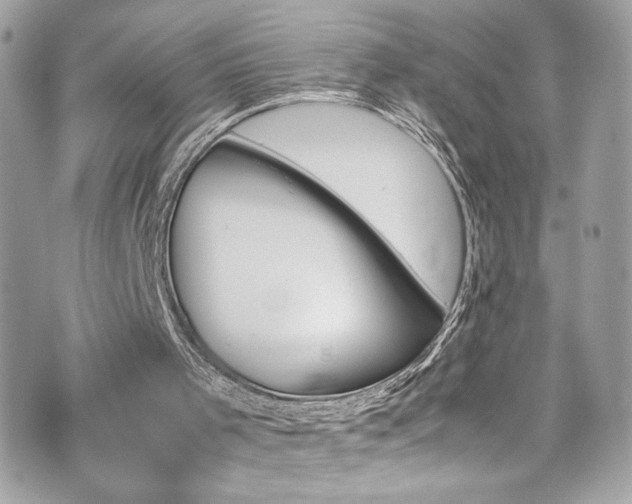 X0000070410001200606161423