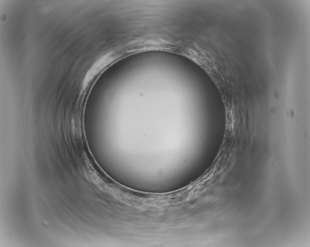 X0000070410004200606161423