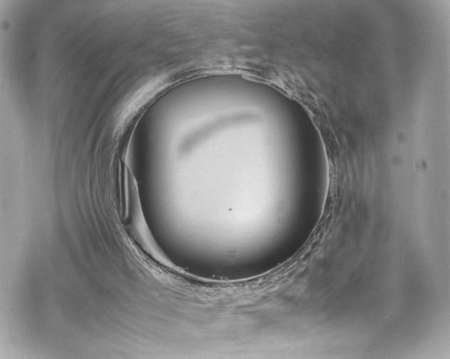 X0000070410005200606161423