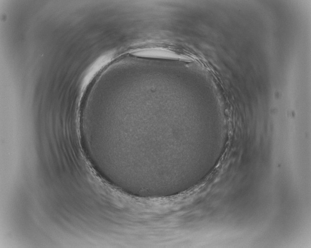 X0000070410006200606161423