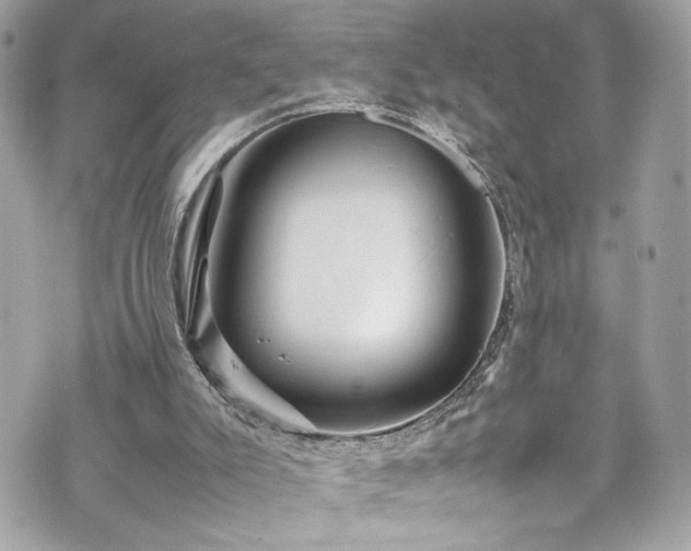 X0000070410007200606161423