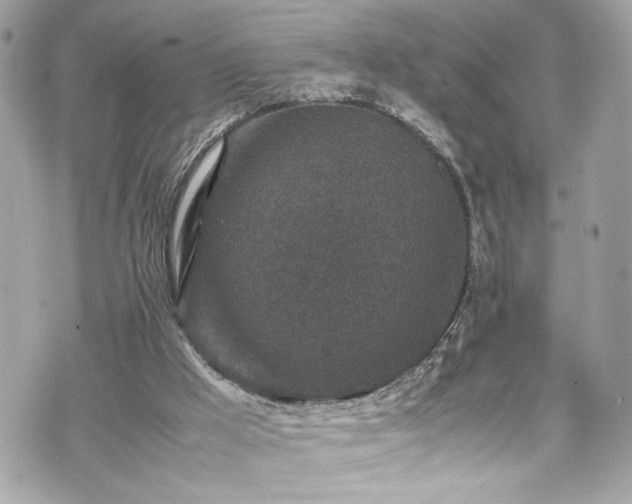 X0000070410009200606161423