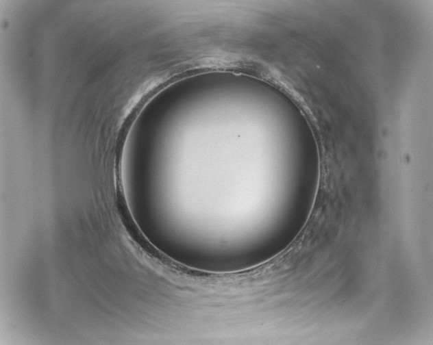 X0000070410011200606161423