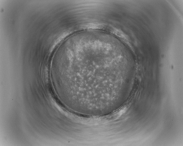 X0000070410012200606161423