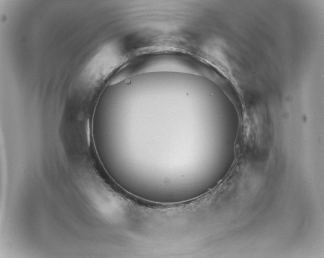 X0000070410013200606161423