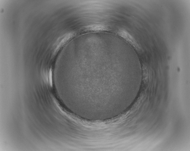 X0000070410014200606161423