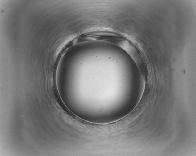 X0000070410015200606161423