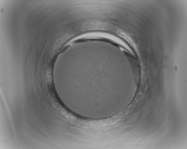 X0000070410017200606161423