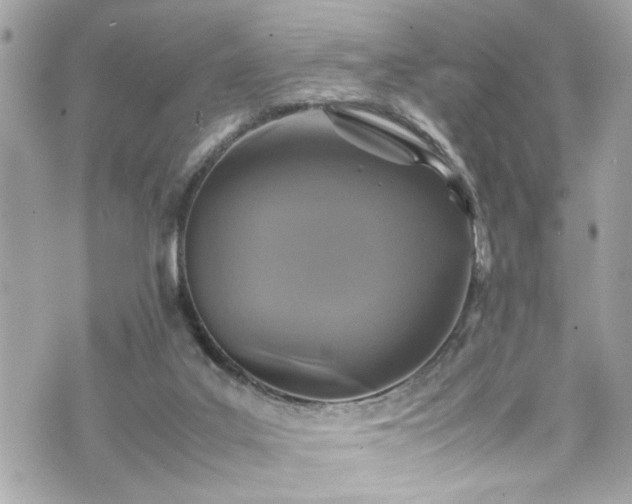 X0000070410019200606161423