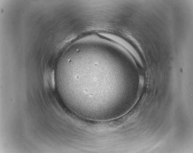 X0000070410020200606161423