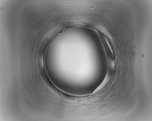 X0000070410021200606161423